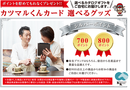700ポイント