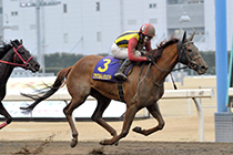 エンプレス杯優勝馬 ミラクルレジェント号