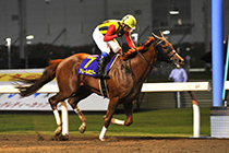 関東オークス優勝馬:アムールポエジー号